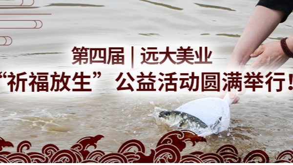 ���Č�|3118��피��F(tu��n)���I(y��)������������������(d��ng)�A�M�e�У�