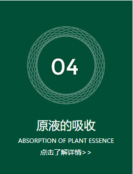 原液的吸收 原液的吸收