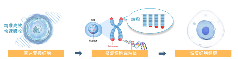 ΢�ňDƬ_20250702144432